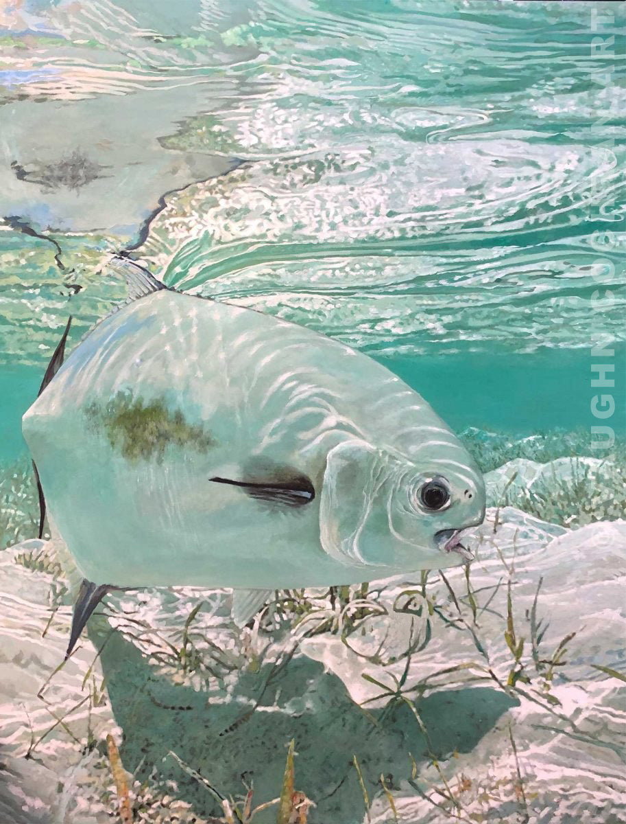 Gorda Cay Permit <br /><span style='color:#f00;font-weight:bold;'>Original SOLD <br />Prints on canvas or paper available</span>