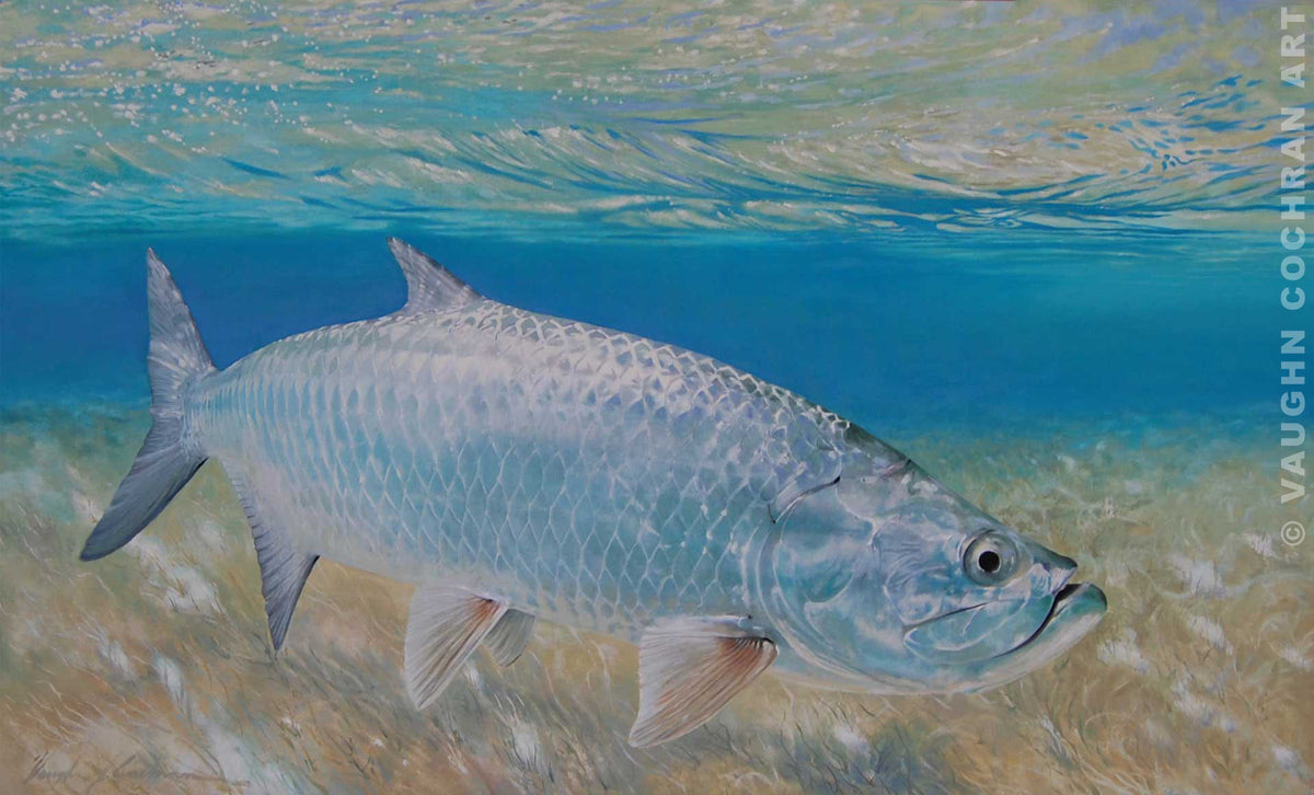 Tarpon On the Edge Ltd Edition Giclee on Paper