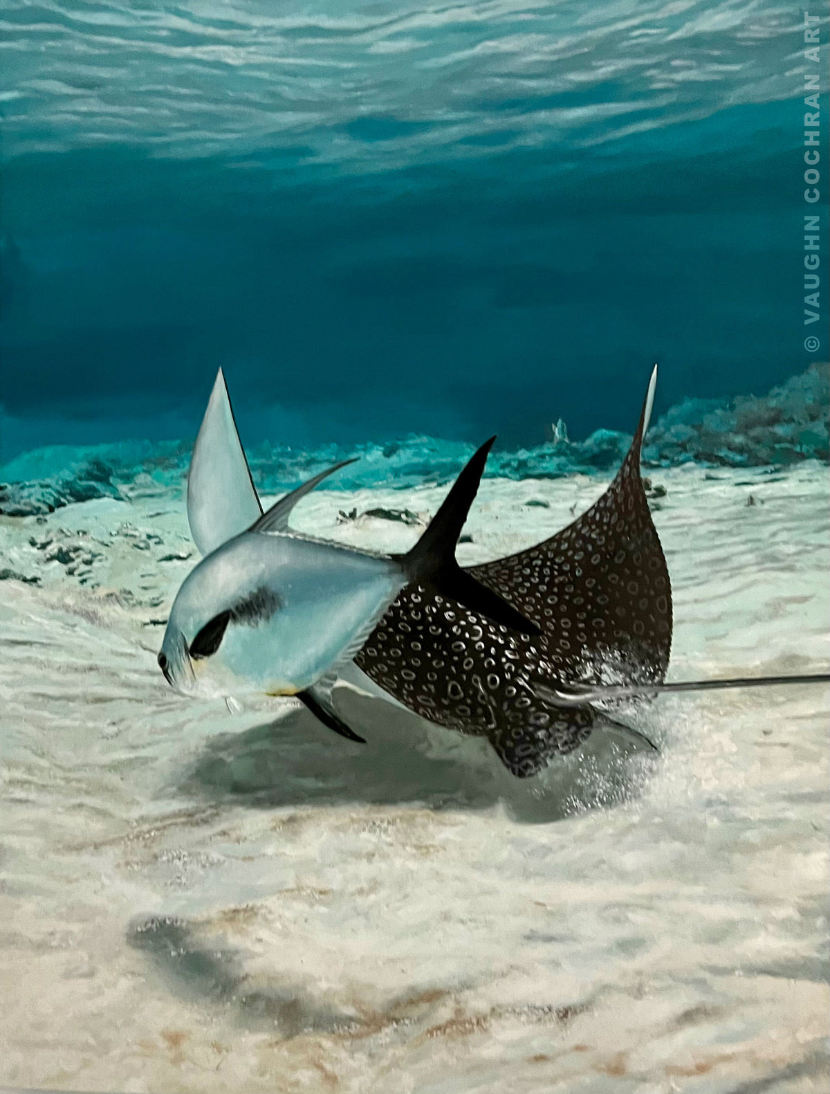 Beautiful Swimmers Ltd Edition Giclee on Paper