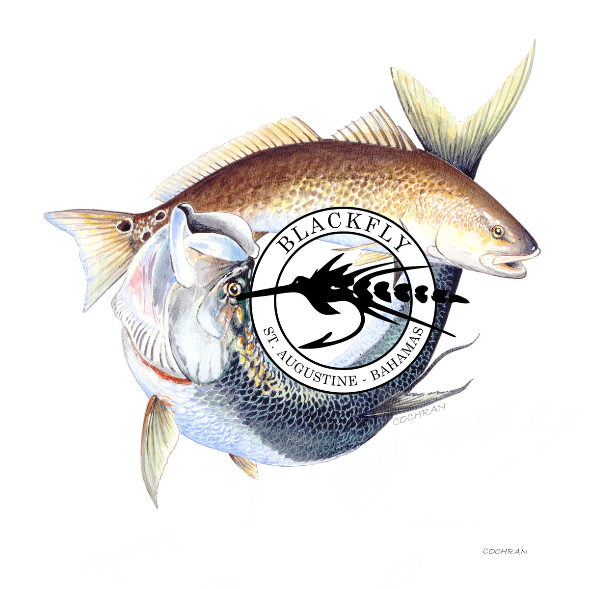 Decal Redfish Tarpon Circle
