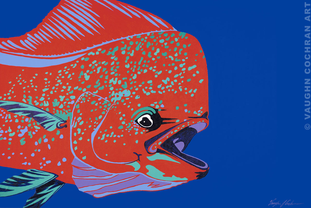 Dolphin Bright Ltd Edition Giclee on Paper