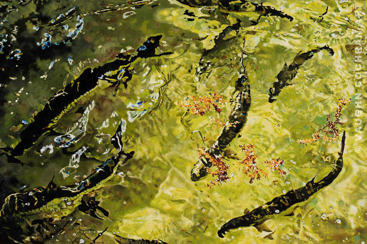 Hungry Tarpon Ltd Edition Giclee on Paper