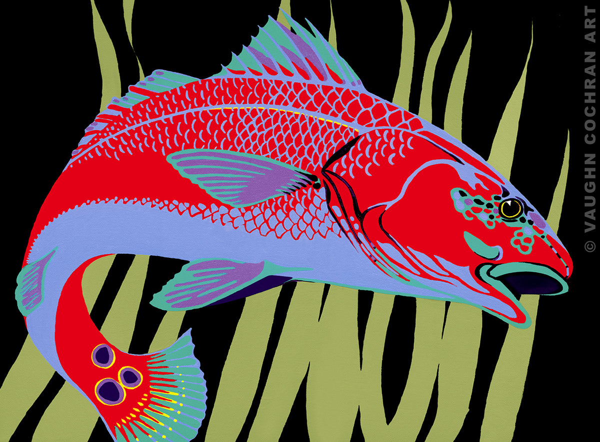 Redfish Bright Ltd Edition Giclee on Paper