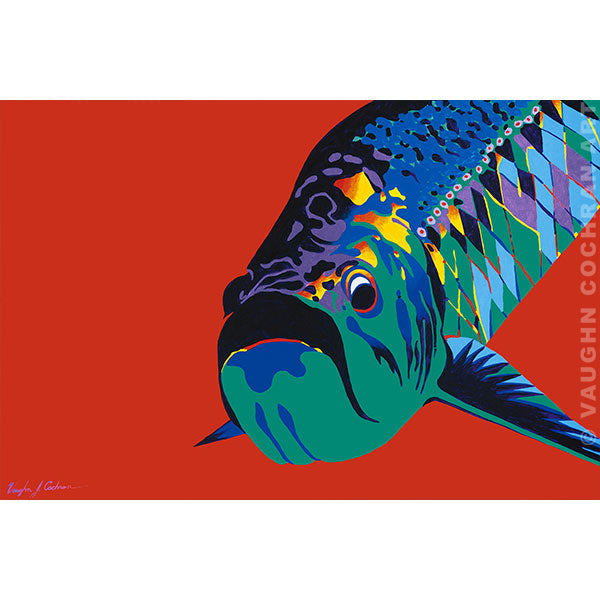 Tarpon Bright Ltd Edition Giclee on Paper