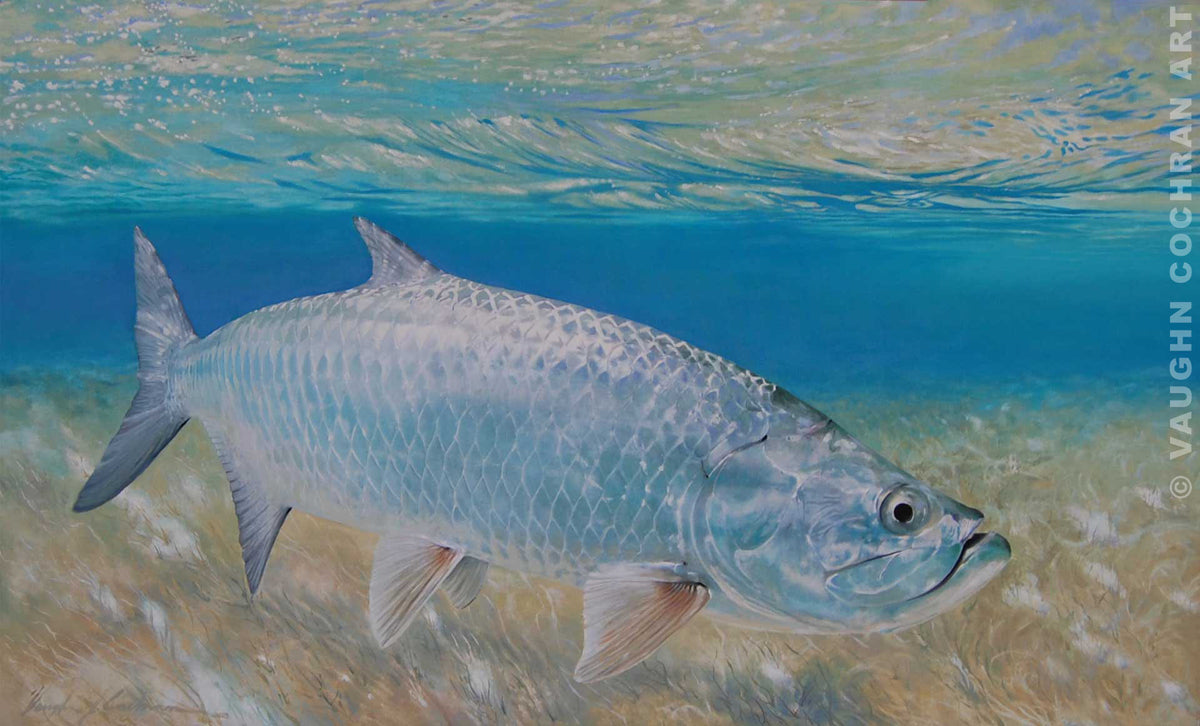 Tarpon on the Edge <br /><span style='color:#f00;font-weight:bold;'>Original SOLD <br />Prints on canvas or paper available</span>