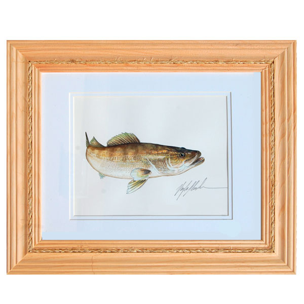 Walleye – Vaughn Cochran Art