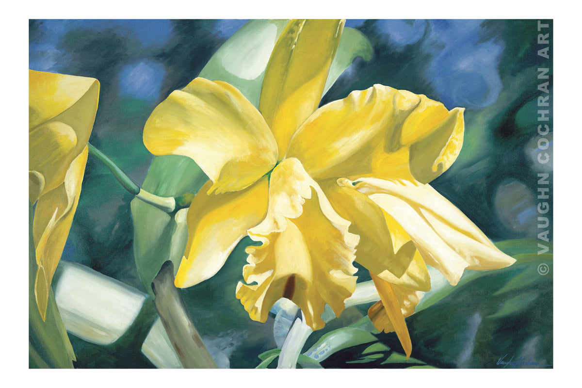 Yellow Orchid Ltd Edition Giclee on Paper